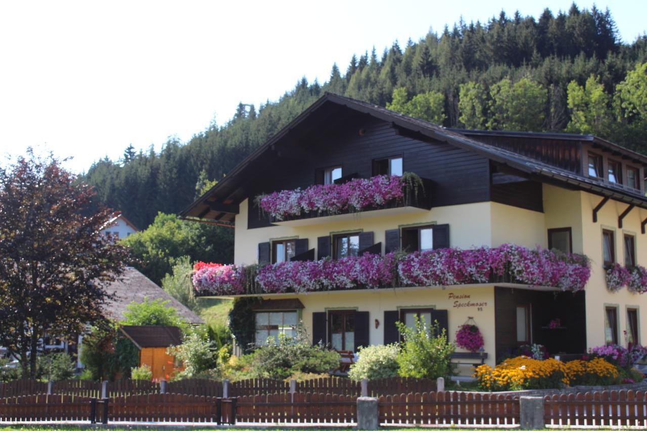 Pension Speckmoser Bad Mitterndorf Εξωτερικό φωτογραφία