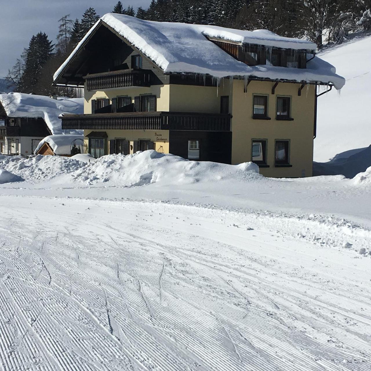 Pension Speckmoser Bad Mitterndorf Εξωτερικό φωτογραφία